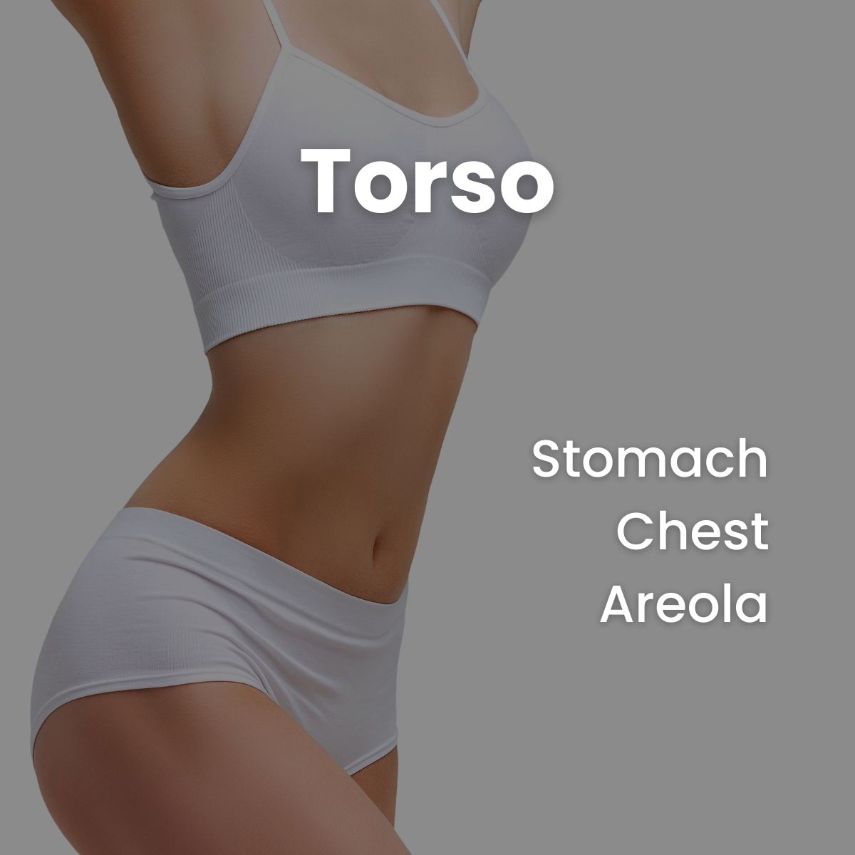 Torso (Female)